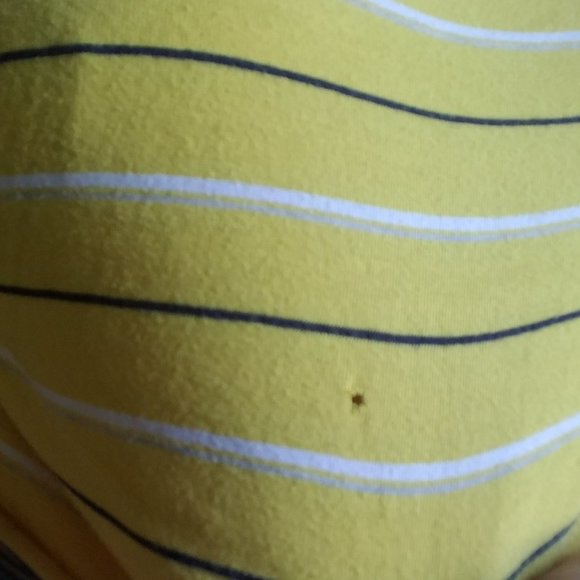 Striped Yellow Cropped T-Shirt - Picture 4 of 4